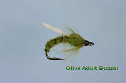 Olive Adult Buzzer